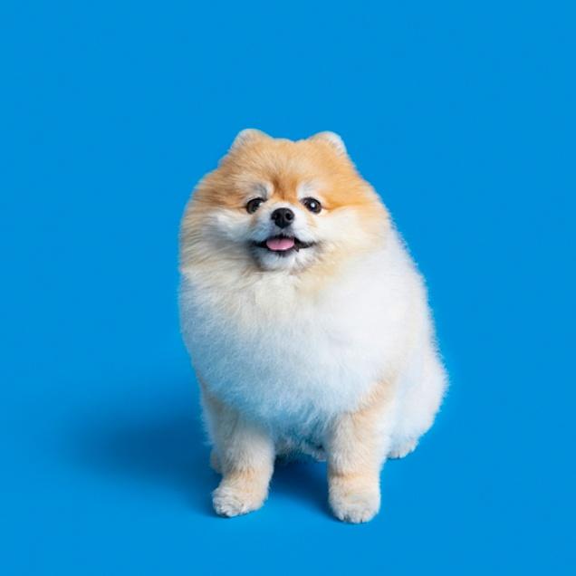 サムネイルテスト2
